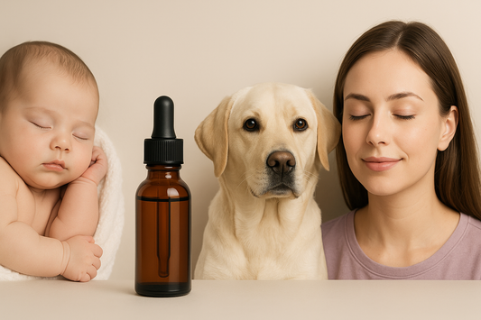 Is Lavender Oil Safe for Babies, Pets & Family?
