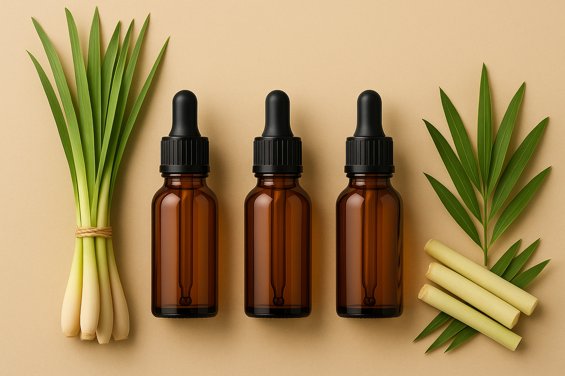 Top 7 Reasons Why Lemongrass Oil Should Be in Every Home Diffuser